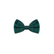 Dolce & Gabbana Green Silk Ties & Bowty