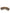 Dolce & Gabbana Brown Fur Shoulder Collar Neck Wrap Scarf