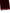 Dolce & Gabbana Bordeaux Cotton Silk Fringe Shawl Wrap Scarf