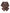 Dolce & Gabbana Bordeaux Printed Silk Neck Wrap Shawl Scarf