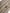 Dolce & Gabbana Beige Wool Knitted Ski Mask Balaclava Hat