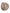 Dolce & Gabbana Beige Cotton Newsboy Capello Cabbie Hat