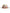Dolce & Gabbana Multicolor Floral Women Fedora Wide Brim Hat