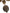Dolce & Gabbana Gold Brass Pietre Oval Crystal Embellished Necklace