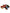 Dolce & Gabbana Multicolor Floral Crystal Embellished Diadem Headband