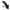 Coperni Black Leather Sandal