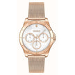 Hugo Boss Gold Stainless Steel Stainless Steel Watch