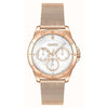 Hugo Boss Gold Stainless Steel Stainless Steel Watch
