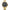 Police Gold Stainless Steel Watch