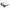 Adidas Brown Acetate Sunglasses