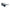 Adidas Black Acetate Sunglasses