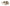 HIDE & JACK Off White Low Top Lace Up Sneakers Shoes