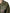 Dolce & Gabbana Military Green Queen Embellished Coat Jacket