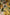 Dolce & Gabbana Yellow Floral Print Silk Maxi Long Gown Dress