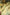 Dolce & Gabbana Yellow Floral Print Silk Maxi Long Gown Dress