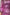 Dolce & Gabbana Metallic Fuchsia Floral Sheath Mini Dress