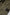 Dolce & Gabbana Army Green High Waist Cargo Pants