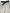 Dolce & Gabbana White Black Polka Dots Knee Length Skirt