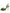 Dolce & Gabbana Green Python Leather Heels Sandals Shoes