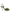 Dolce & Gabbana Green Python Leather Heels Sandals Shoes