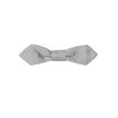 Dolce & Gabbana Gray Silk Ties & Bowty
