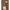 Herno Brown Polyamide Vest
