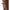 Burberry Brown Leather Boot
