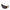 Bottega Veneta Black Acetate Sunglasses