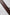Dolce & Gabbana Brown Logo Engraved Metal Waist Buckle Belt