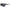 Nike Black Injected Sunglasses