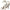 Dolce & Gabbana White Floral Jacquard Mary Janes Heels Pumps Shoes