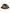 Dolce & Gabbana Multicolor DG Plaque Wide Brim Bucket Hat