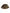 Dolce & Gabbana Multicolor Leopard Embellish Wide Brim Bucket Hat