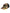 Dolce & Gabbana Multicolor DG Logo Patch 6 Panels Baseball Cap