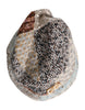 Dolce & Gabbana Multicolor Patchwork Embellished Bucket Hat
