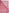 Dolce & Gabbana Pink Silk Rectangle Women Wrap Shawl Scarf