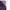 Dolce & Gabbana Purple Silk Rectangle Wrap Shawl Scarf