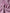 Dolce & Gabbana Pink Silk Rectangle Women Wrap Shawl Scarf
