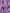 Dolce & Gabbana Purple Silk Rectangle Wrap Shawl Scarf