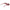 Scotch & Soda Multicolor Women Sunglasses
