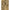 Tom Ford Beige Cotton Clothing