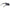 Hugo Boss Black Men Sunglasses