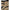 Bottega Veneta Beige Polyamide Swimwear