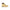 Carrera Dapper Beige Lace-Up Boots with Contrast Detailing