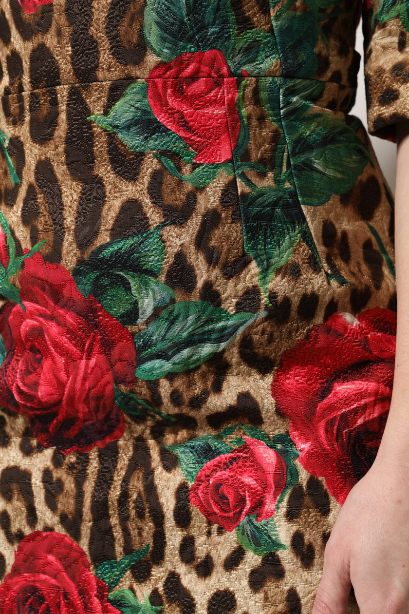 Dolce & Gabbana Brown Rose Leopard Short Sleeves Mini Dress