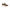 Laura Biagiotti Brown Polyester Women Sneaker