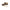 Laura Biagiotti Brown Polyester Women Sneaker
