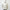 Herno White Polyester Jacket