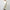 Herno White Polyester Jacket