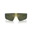 Arnette Gold Resin Sunglasses